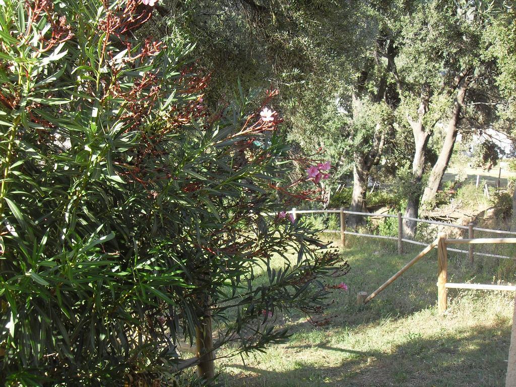 Chambres Le Relais De Sisco Kültér fotó